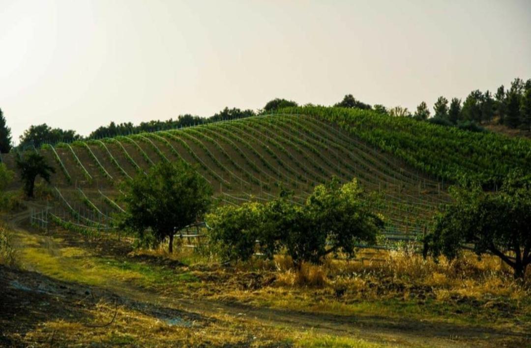 Agriturismo Feudo Tudia Landro Buitenkant foto